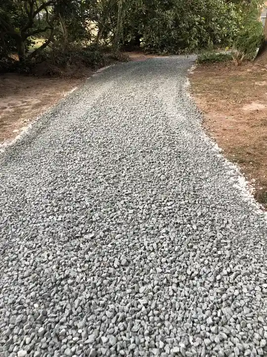 Stone And Gravel Stone Lane Through The Woods Federalsburg Md